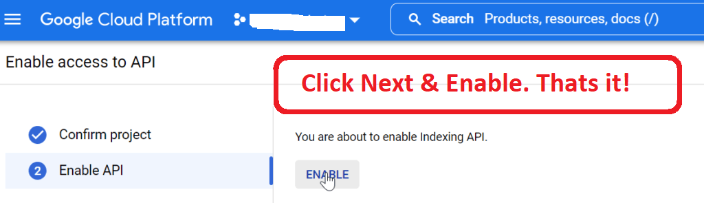Free Google Indexer - Enable API